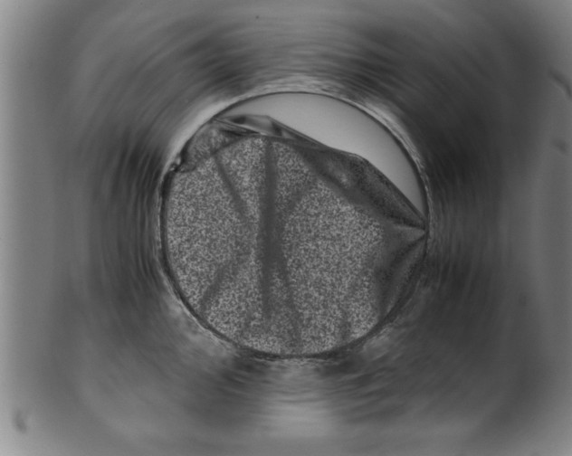 X0000099471000200806061215