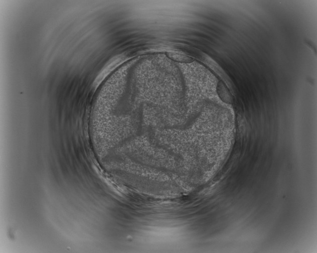 X0000099471002200806061215