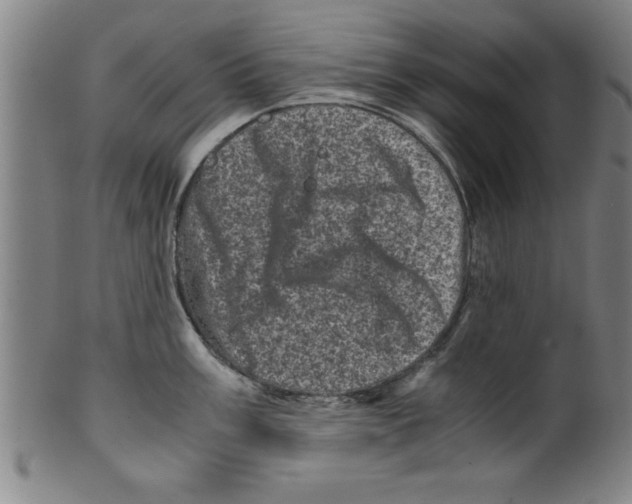 X0000099471003200806061215