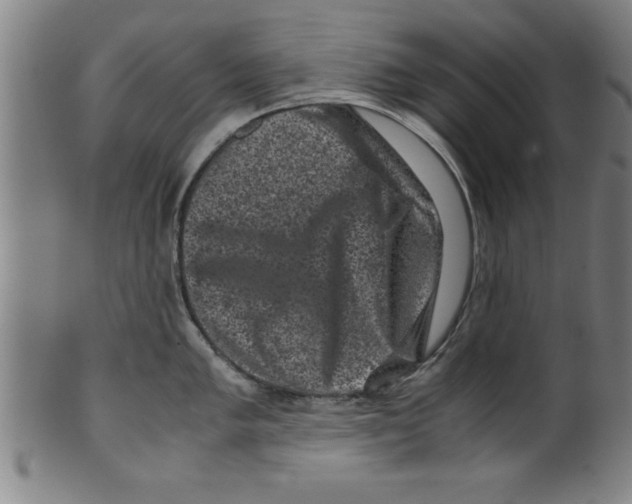 X0000099471005200806061215