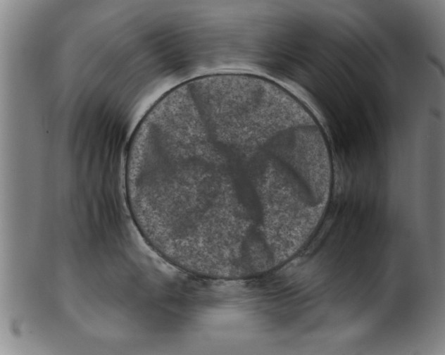 X0000099471006200806061215