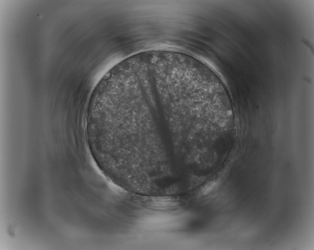 X0000099471007200806061215