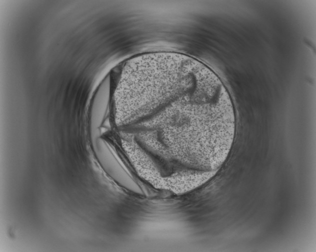 X0000099471008200806061215