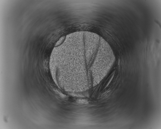 X0000099471010200806061214