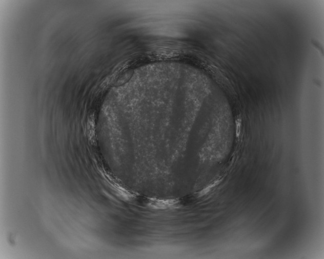 X0000099471011200806061214