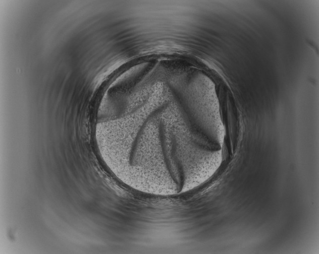 X0000099471018200806061214