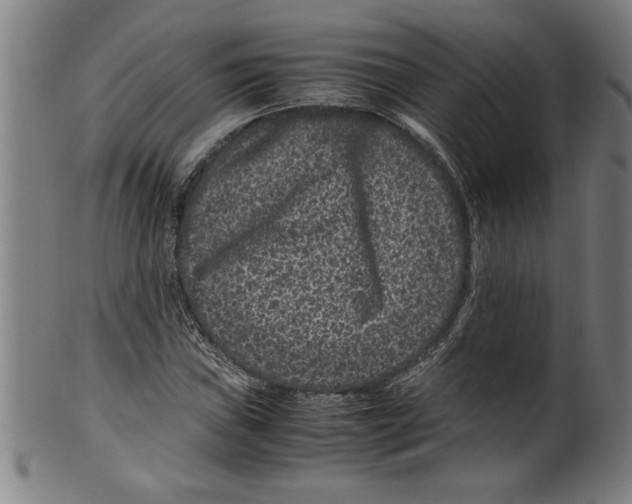 X0000099471019200806061214