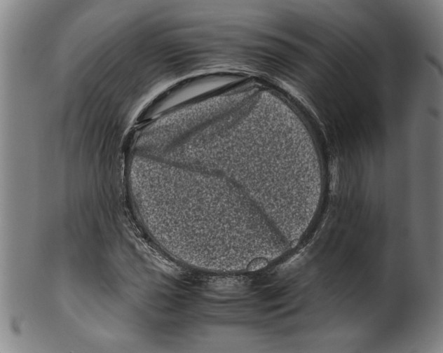 X0000099471021200806061214