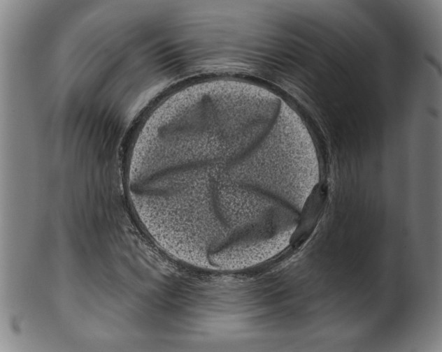 X0000099471022200806061214