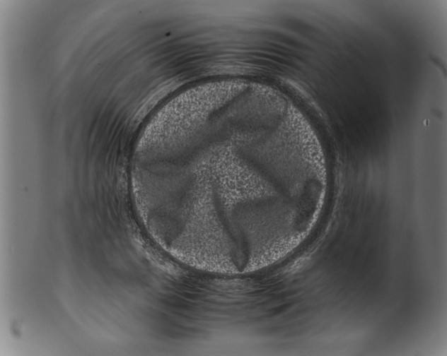 X0000099471025200806061215