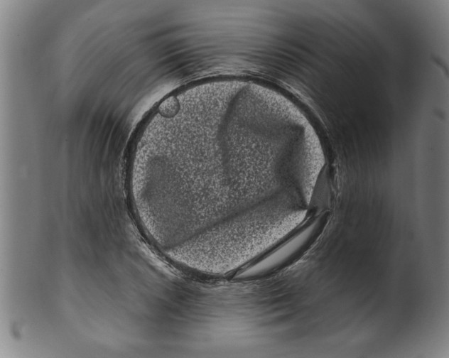 X0000099471026200806061215