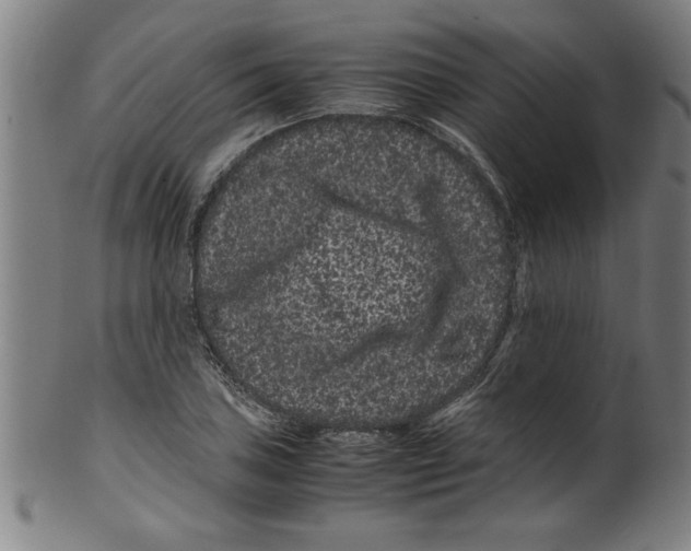 X0000099471027200806061215