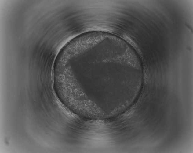 X0000099471028200806061215