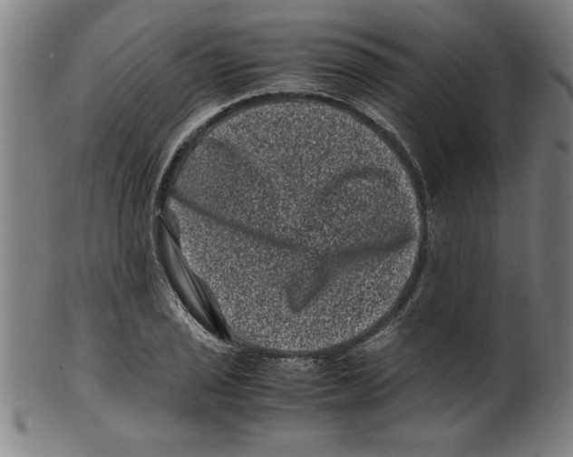 X0000099471029200806061215