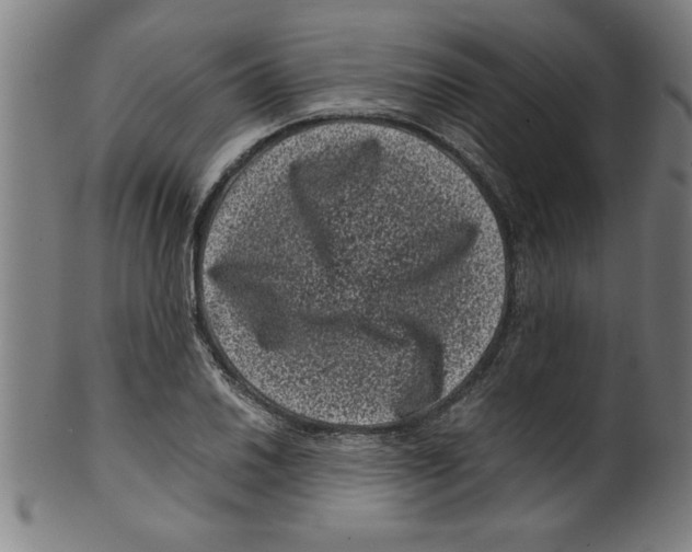 X0000099471030200806061215