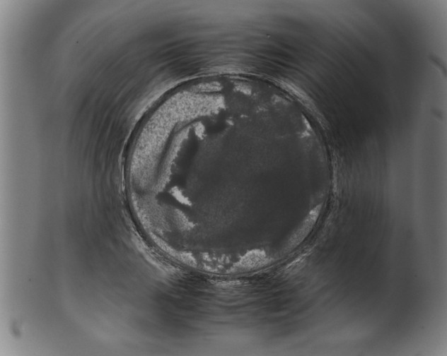 X0000099471031200806061215