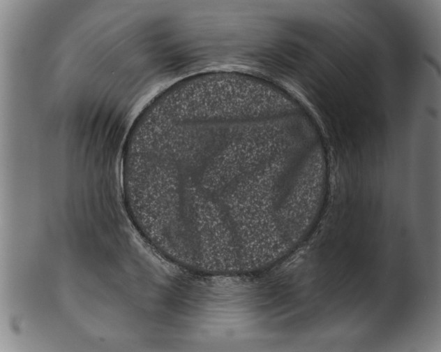 X0000099471032200806061215