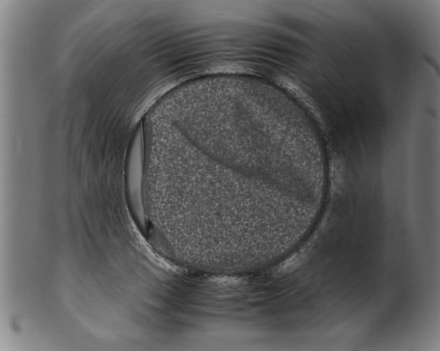 X0000099471033200806061215