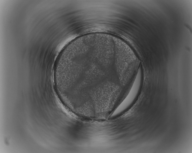 X0000099471034200806061215