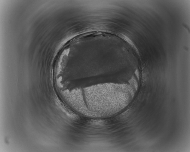 X0000099471035200806061215