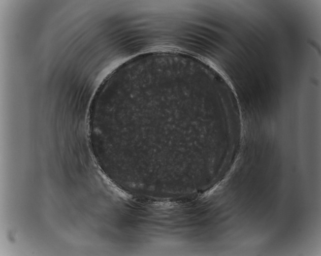 X0000099471037200806061215