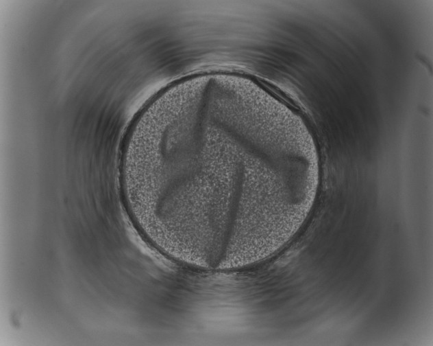 X0000099471038200806061215