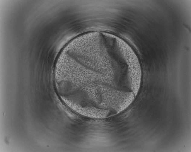 X0000099471040200806061215