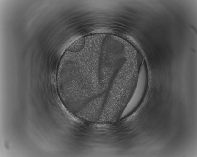 X0000099471041200806061215