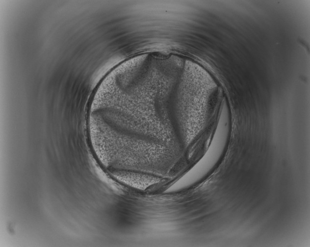 X0000099471042200806061215