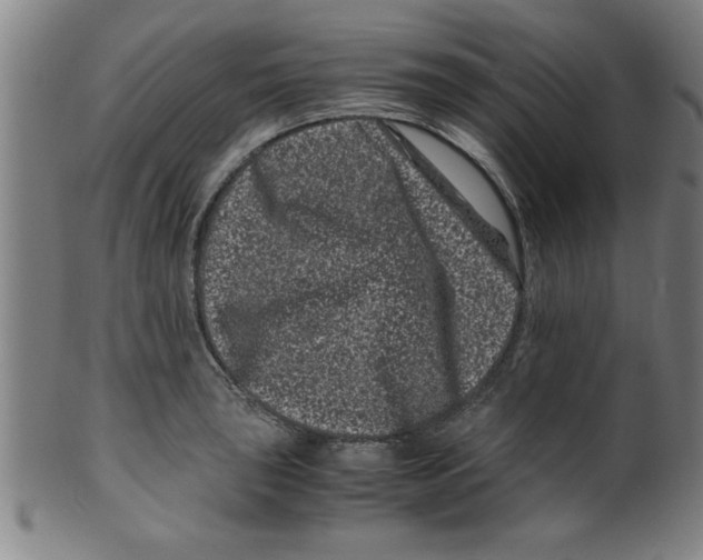 X0000099471043200806061215