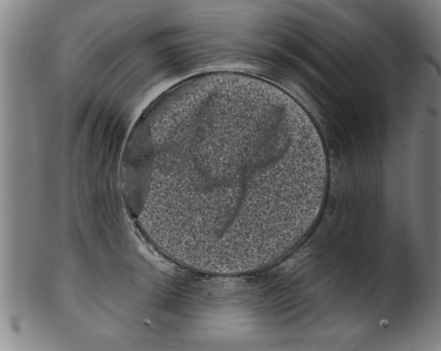 X0000099471044200806061215