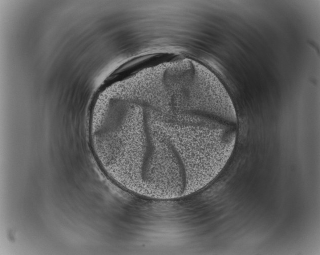 X0000099471046200806061215