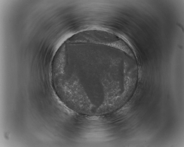 X0000099471048200806061215