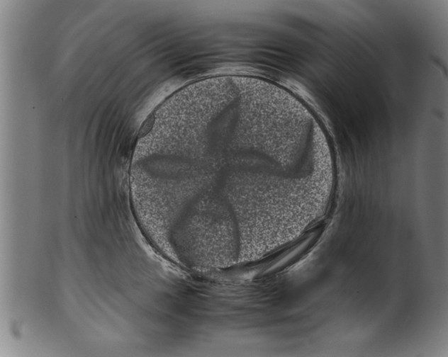 X0000099471049200806061215