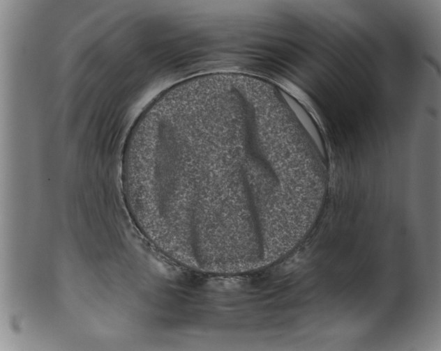 X0000099471051200806061215