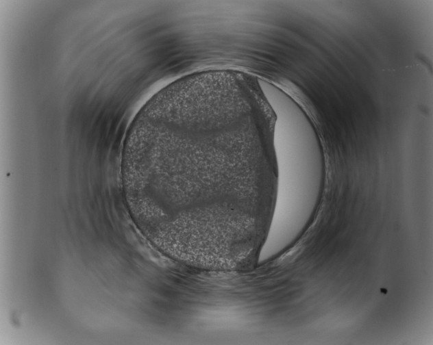 X0000099471052200806061215