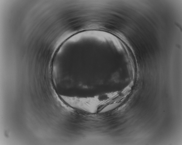 X0000099471053200806061215