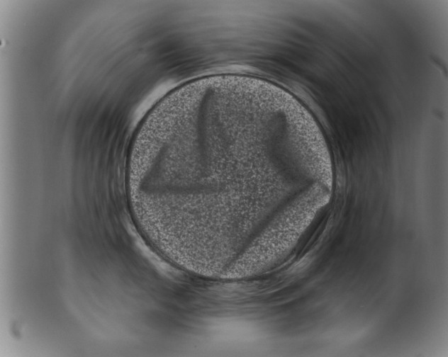 X0000099471054200806061215