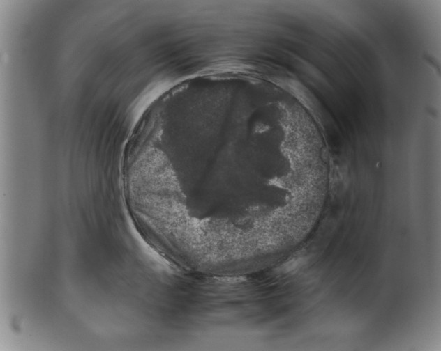 X0000099471055200806061215