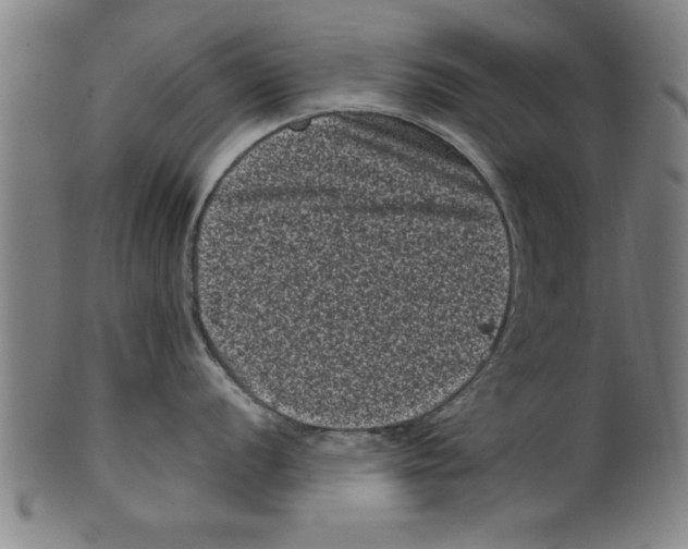 X0000099471056200806061215