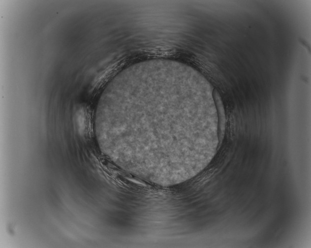 X0000099471058200806061214