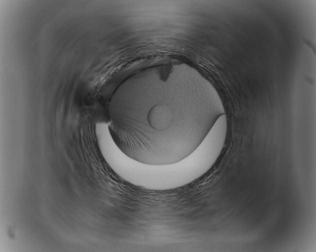 X0000099471059200806061214