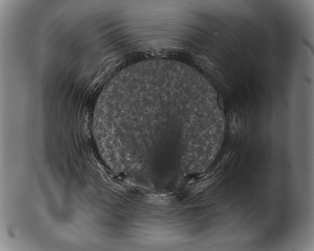 X0000099471060200806061214