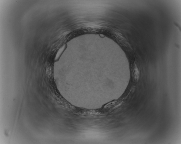 X0000099471061200806061214