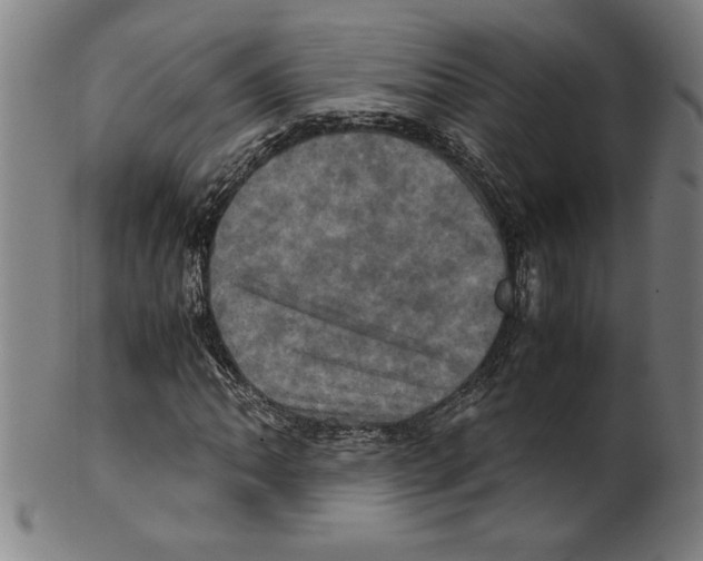 X0000099471062200806061214