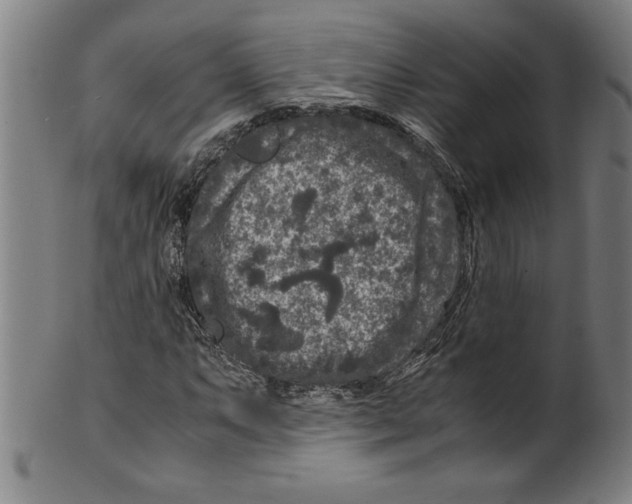 X0000099471063200806061214