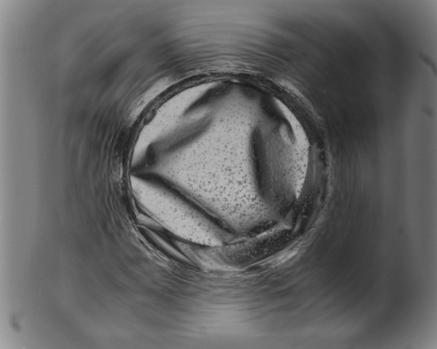 X0000099471065200806061214