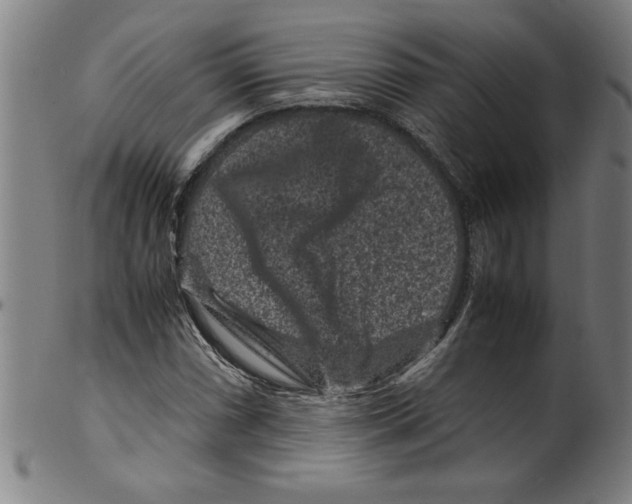 X0000099471066200806061214