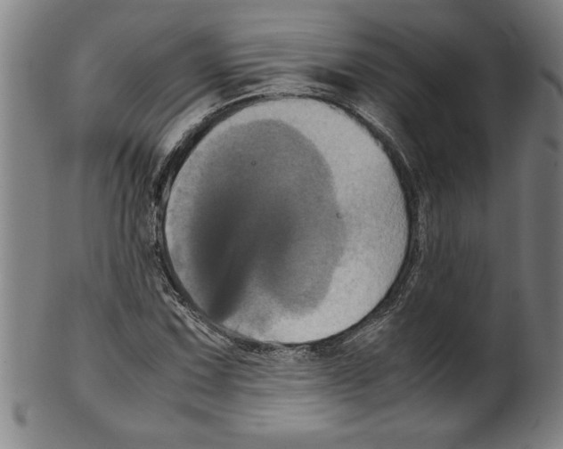 X0000099471067200806061214