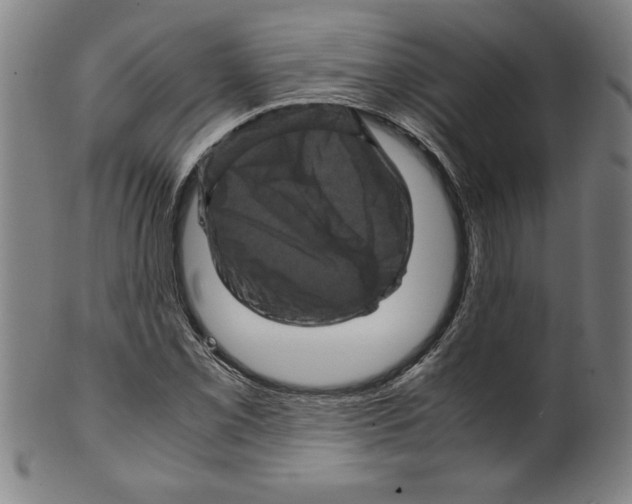 X0000099471069200806061214